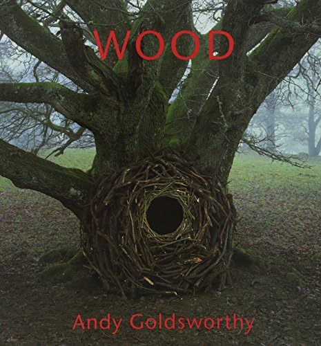 Andy Goldsworthy: A Collaboration with Nature: Goldsworthy, Andy